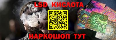 гашик Кинель