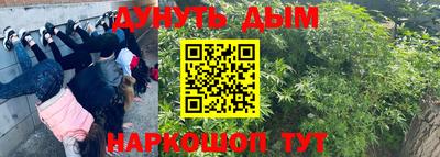 гашик Кинель